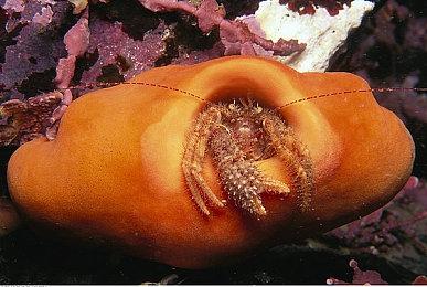 RPG要素来咯《街头霸王6》环球游历模式预告